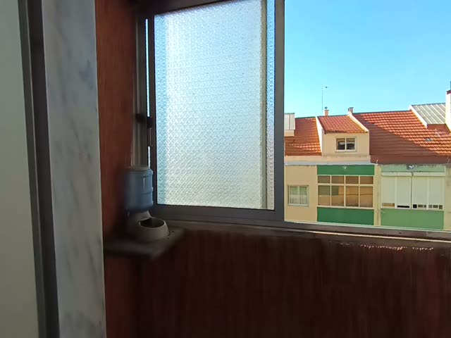 No Flash found